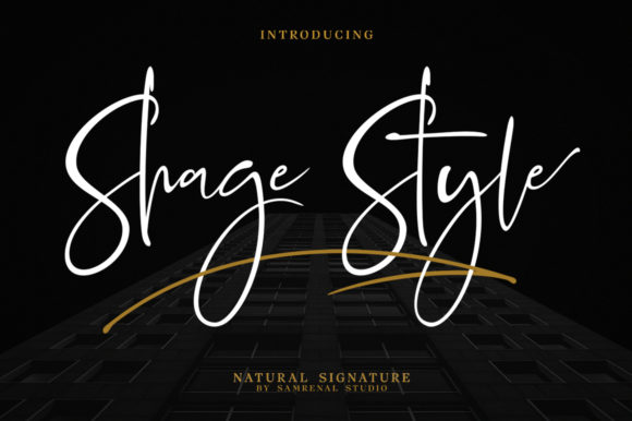 Shage Style Font: A Designer’s Review